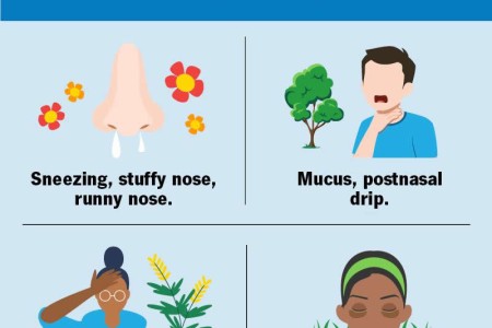 Allergic Rhinitis (Hay Fever)