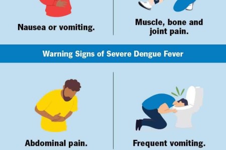 Dengue Fever