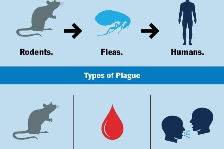 Plague