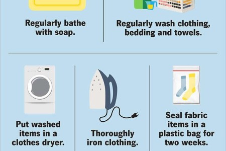 Body Lice