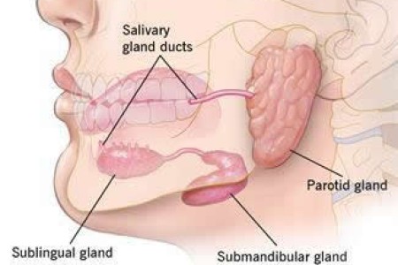 Salivary Gland Cancer
