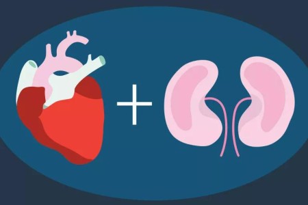 The Close Link Between Your Heart Health and Kidney Health