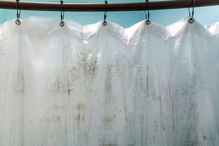 Can Your Dirty Shower Curtain Make You Sick?
