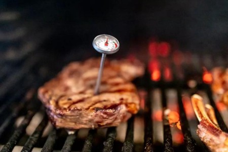 Are Your Burgers, Steaks and Meats Cooked Safely?