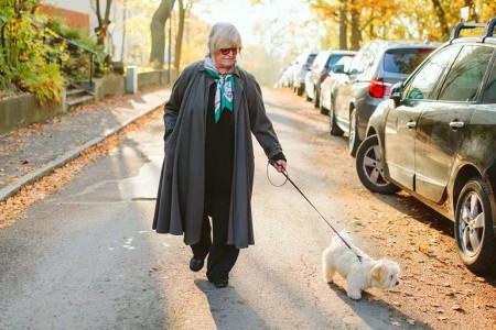 Afternoon Slump? 5 Ways to Restore Your Energy