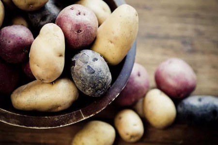 Are Potatoes Healthy?