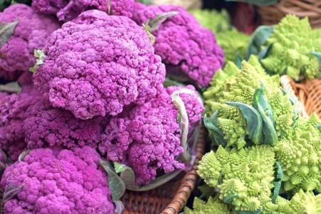 4 Exciting Reasons to Rotate Your Foods