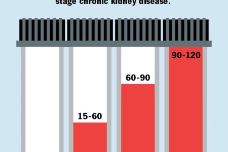 Estimated Glomerular Filtration Rate (eGFR)
