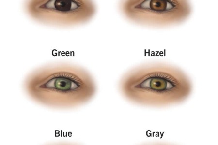 Eye Colors
