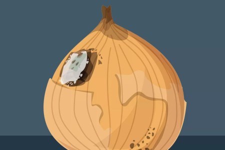 What Happens if You Accidentally Eat Moldy Food?