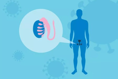 Can the COVID-19 Vaccine Affect Your Testicles?