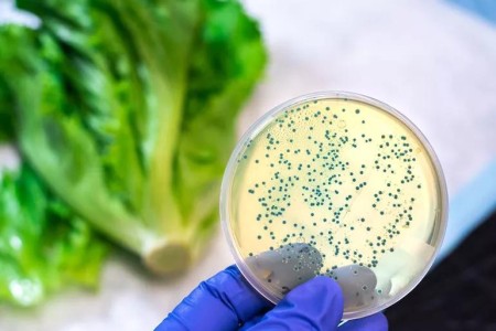 Why Are Foods Recalled? What You Need to Know