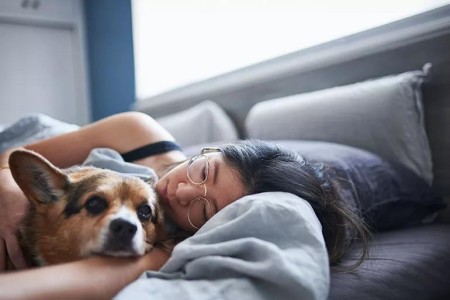 How to Grieve the Death of a Pet