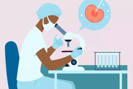 What’s the Difference Between IVF and IUI?