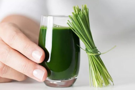 Is Wheatgrass Worth the Hype? 7 Benefits