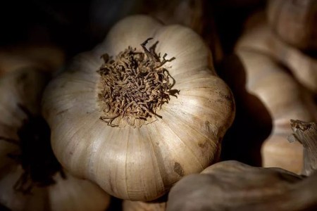 The Health Benefits of Garlic
