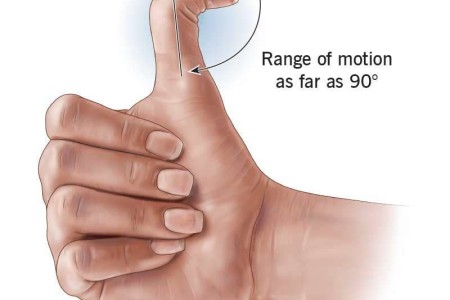 Hitchhiker's Thumb