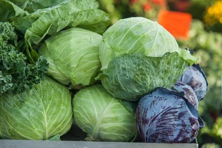 8 Health Benefits of Cabbage