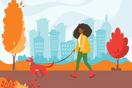 9 Tips for Your Best Autumn