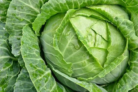 Can Certain Foods Reduce Uterine Fibroids?