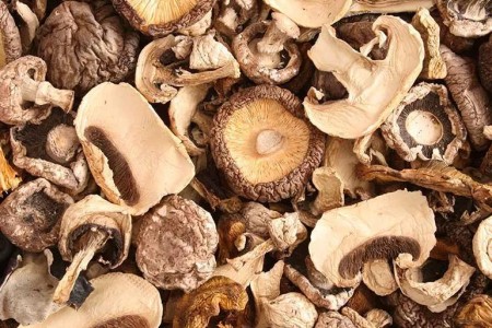 7 Impressive Reasons To Eat Mushrooms