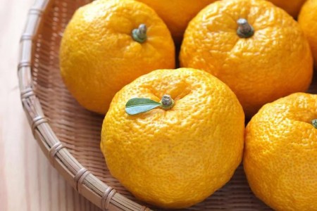 Is Yuzu Fruit Worth Trying?