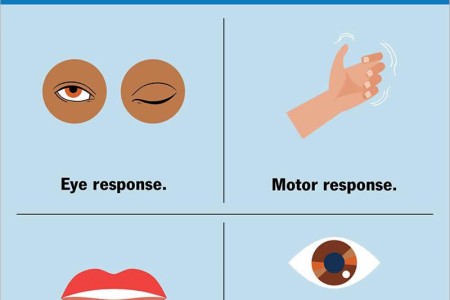 Glasgow Coma Scale (GCS)