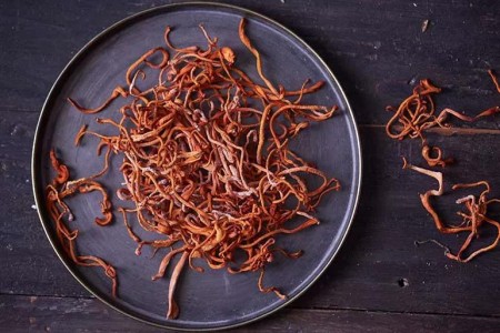 Cordyceps Is a Killer Fungi With Potential Health Benefits