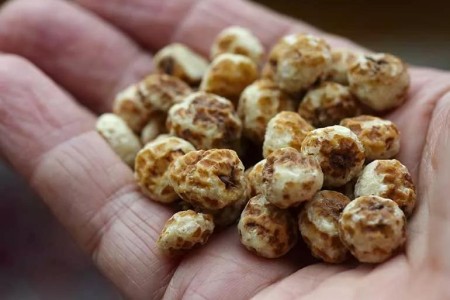 9 Health Benefits of Tiger Nuts