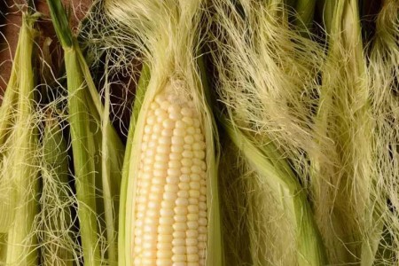 Can You Eat Corn Silk? 4 Health Benefits of Corn Silk