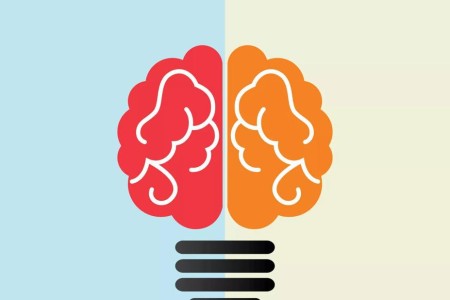 Left Brain vs. Right Brain: Are You Really One or the Other?