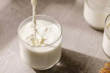 4 Benefits of Casein