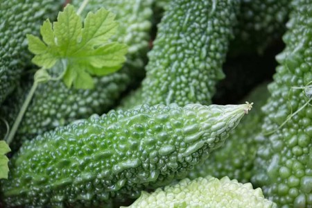 The Health Benefits of Bitter Melon