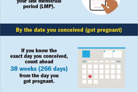 Due Date Calculator