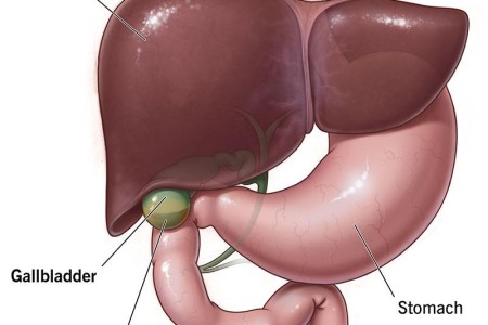 Gallbladder