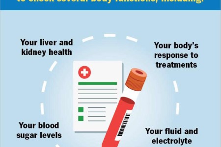 Comprehensive Metabolic Panel (CMP)