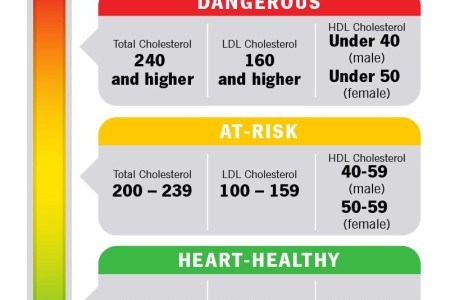 Cholesterol Levels
