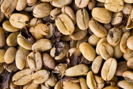 Should You Go Green? What To Know About Green Coffee Bean Extract