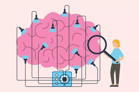 Brainwork: The Power of Neuroplasticity