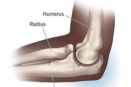 Elbow Joint