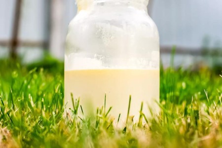 Drinking Raw Milk May Be Trendy, but No, It’s Not Safe