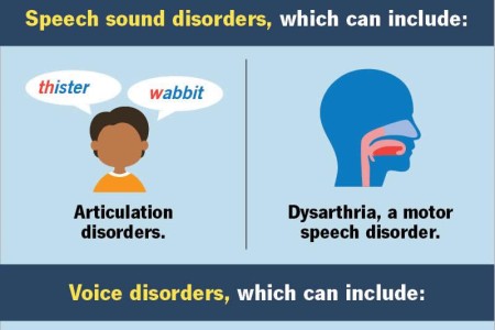 Speech Impairment (Speech Disorder)