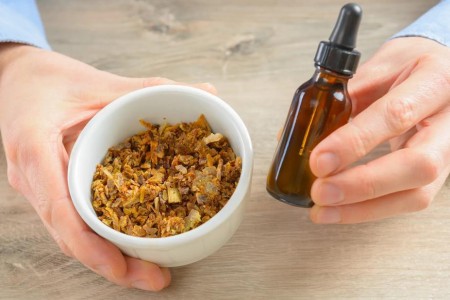 Propolis: What Is It and Is It Worth Using?