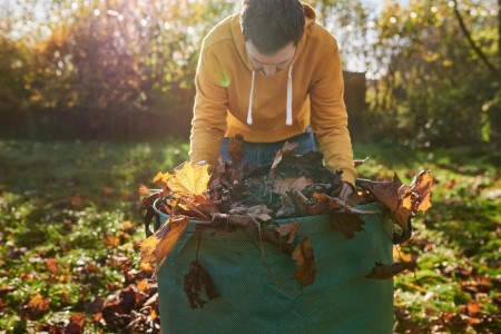 How To Prevent Yard Work From Causing Back Pain