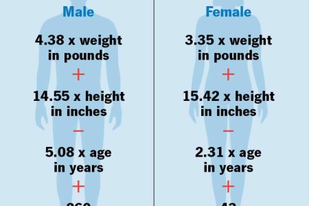 BMR (Basal Metabolic Rate)