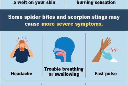 Bug Bites and Stings
