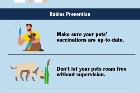 Rabies