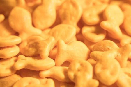 Is Any Food Safe? Salmonella Shows Up in Surprising Places