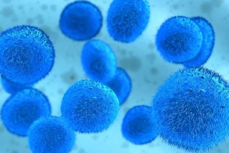 One Way to Help Patients Off of Opioids? Stem Cell Therapy Shows Promise