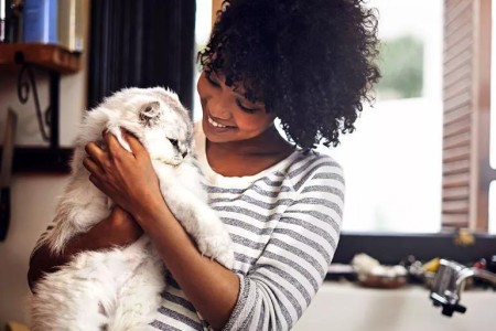 Can Changing Cat Litter Before You Know You’re Pregnant Put You at Risk for Toxo